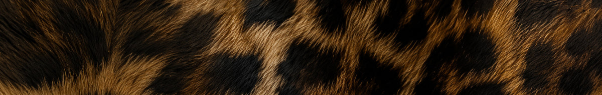 Leopardenmuster von Santana Vega